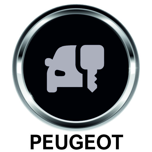 PEUGEOT 1007